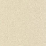 Светлая слоновая кость (RAL 1015)